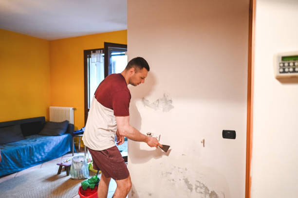 Best Fast Mold Removal  in Timberwood Park, TX